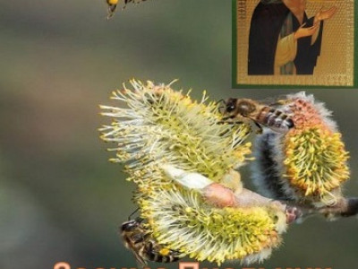 30 апреля-Зосима - Соловецкий, Зосима-пчельник